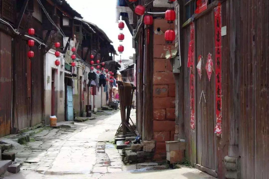 尽在金华货车载满毛竹急刹车扎穿前车,货车方需承担什么责任?,专注解答你的疑问